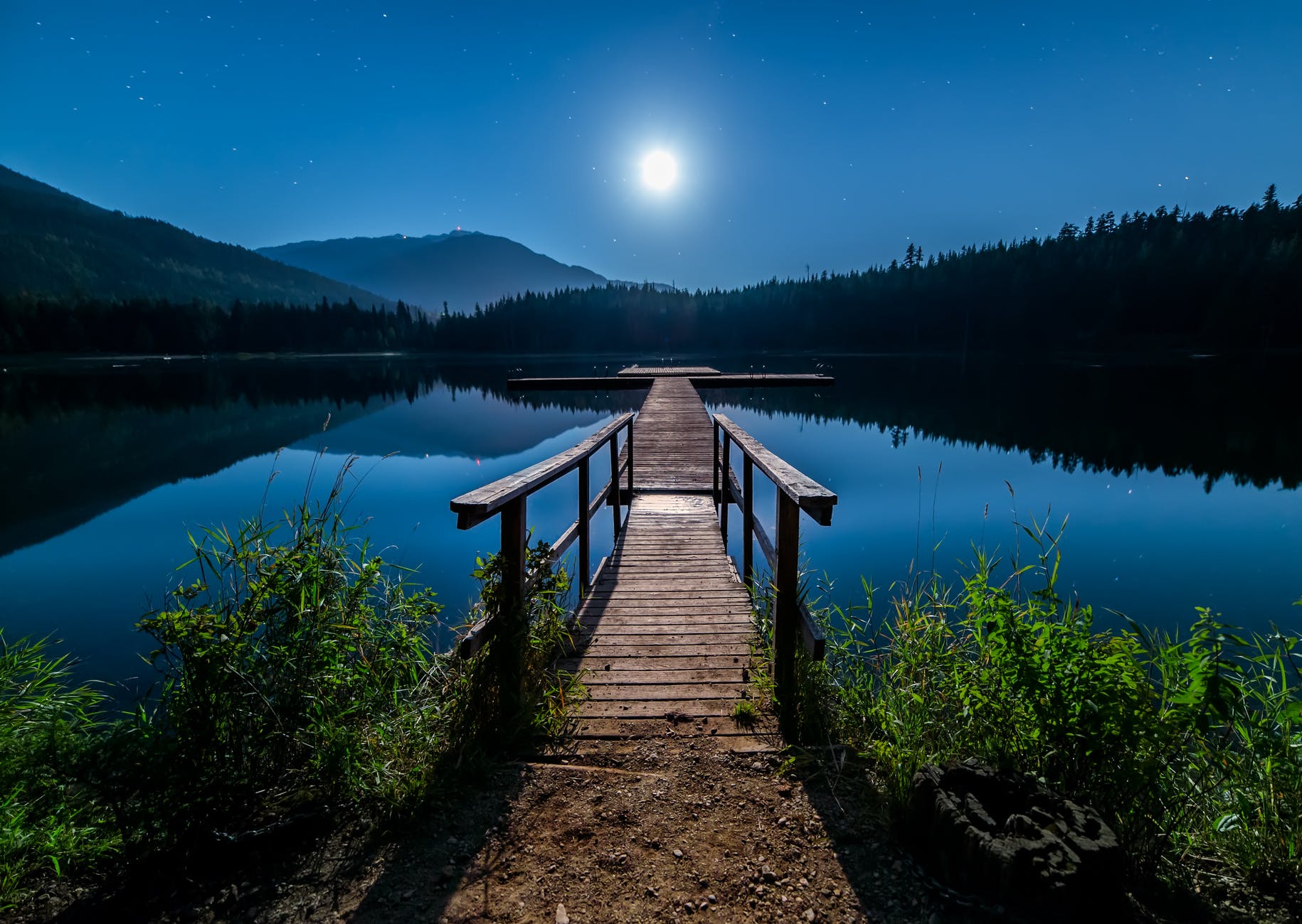 brown wooden dock