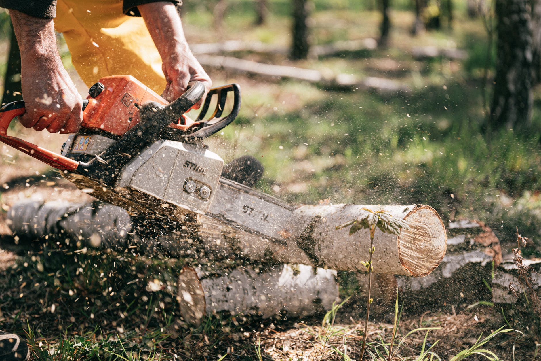 person holding chainsaw