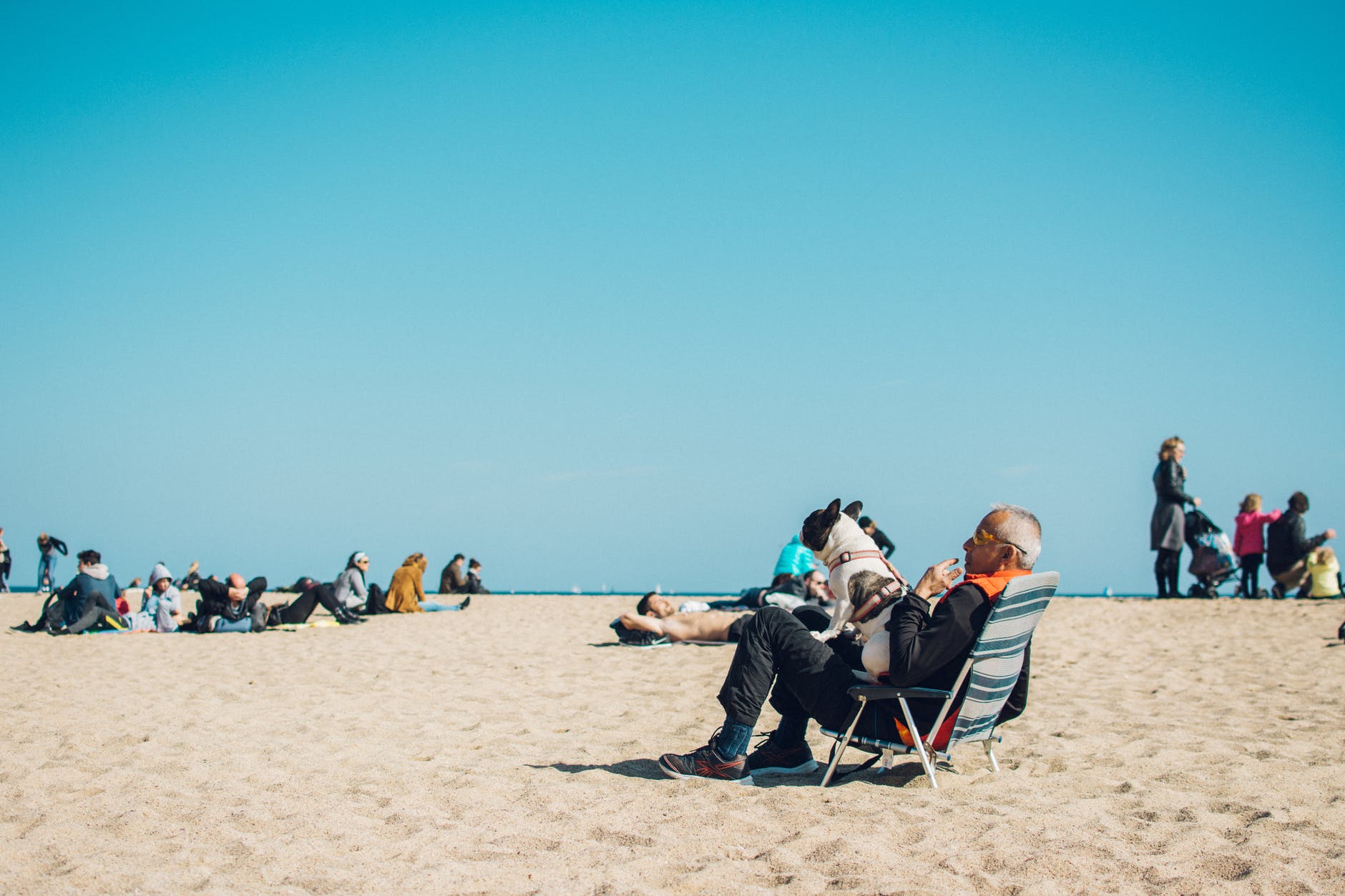 people on seashore