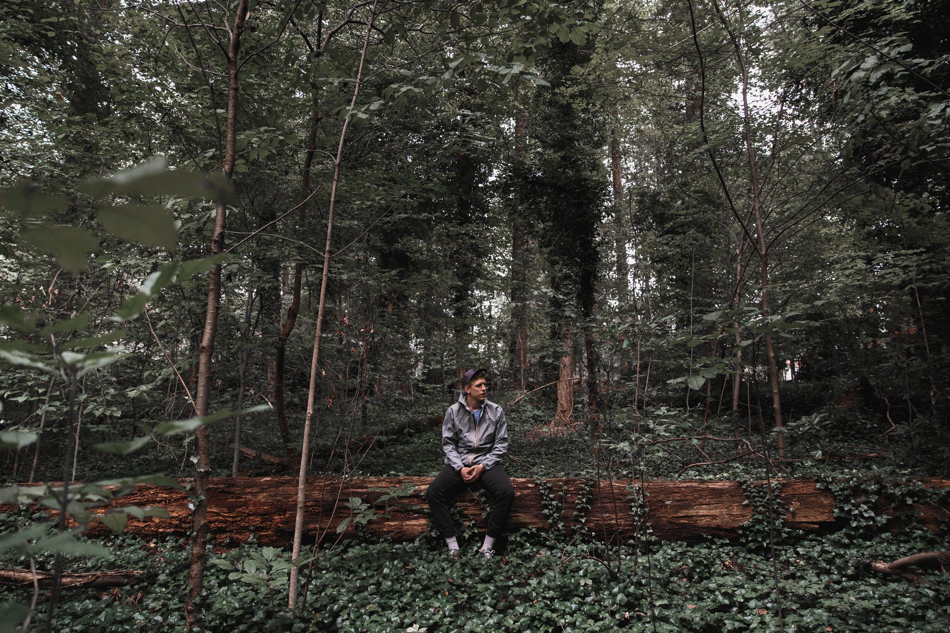 man in gray jacket sitting on a fallen tree in the woods